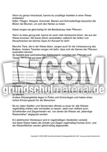 Lebensraum-Wiese-Text-2.pdf